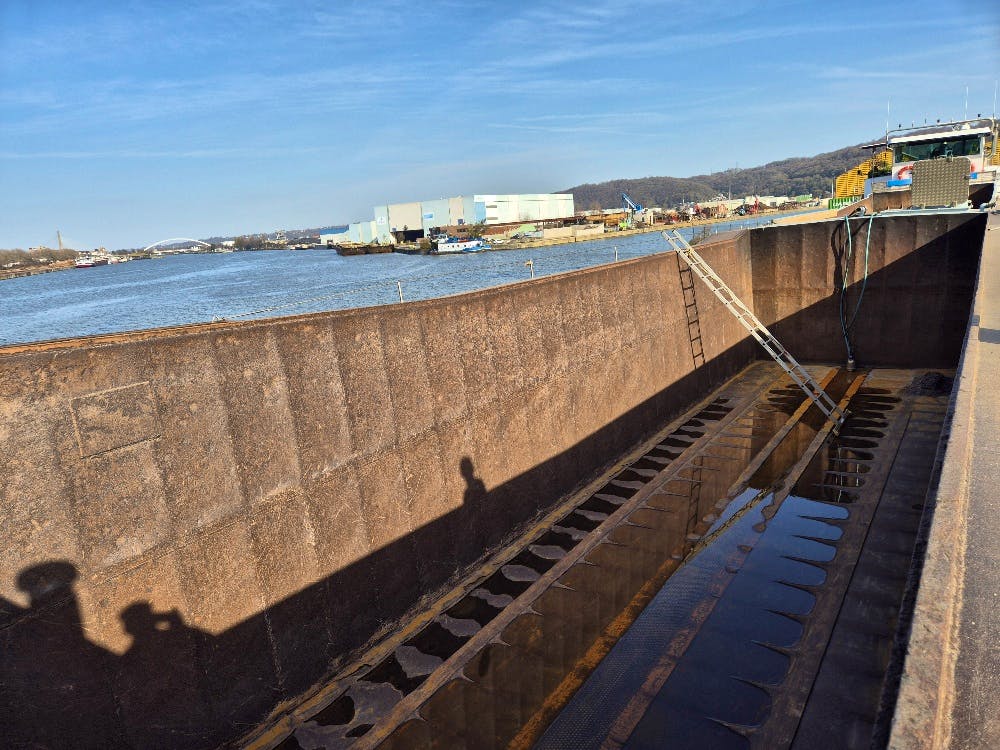 Vita Nova — thumbnail 5